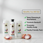 Rock & Shock Hair Fall Kit – 2 Shampoos + 1 Hair Oil